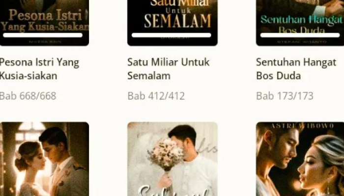 Fizzo Novel Berasal Dari Negara Mana? Cek Info
