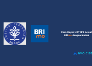 Cara Bayar UKT IPB Lewat BRImo