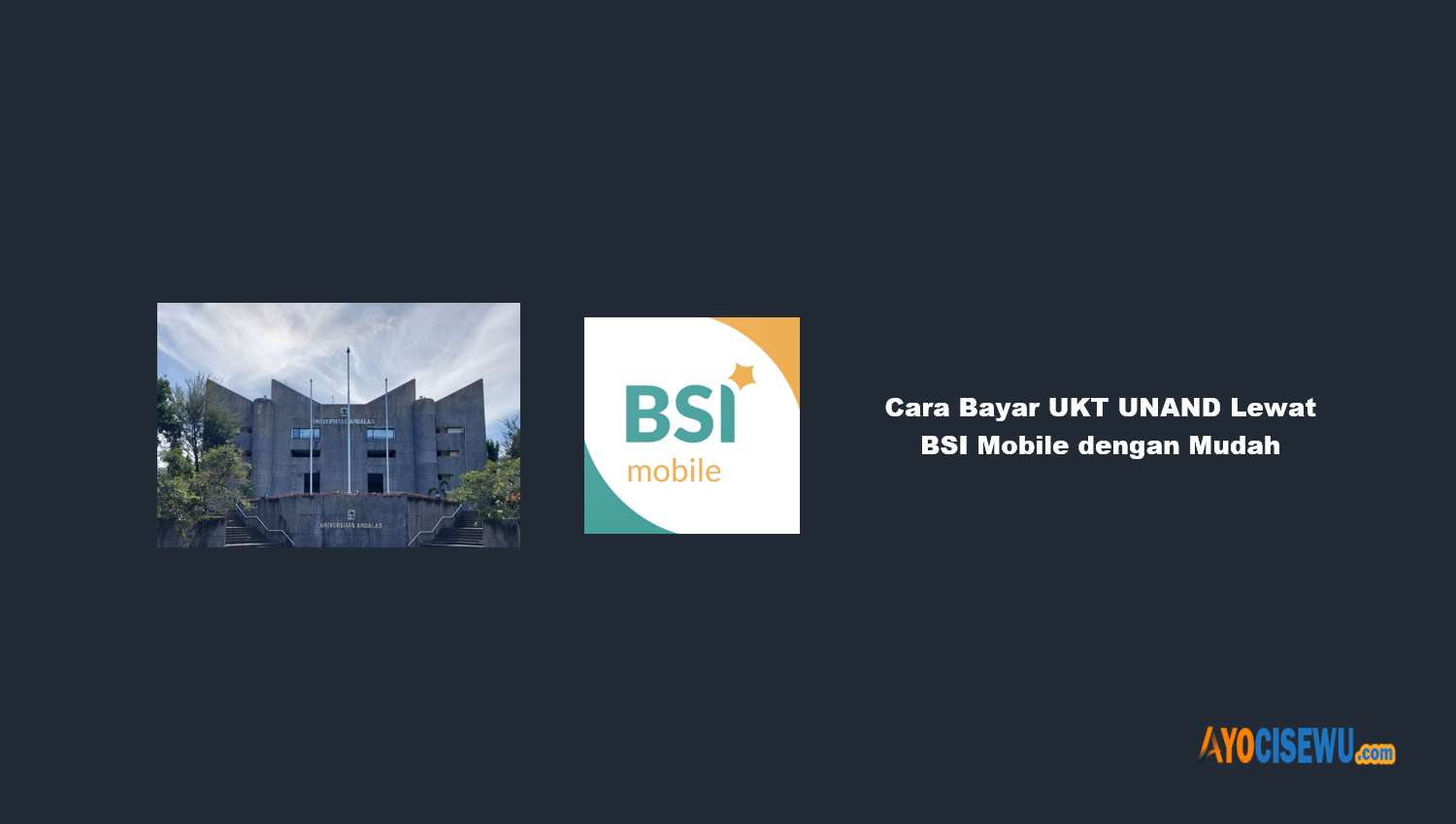 Cara Bayar UKT UNAND Lewat BSI Mobile