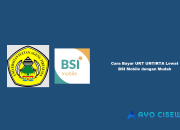 Cara Bayar UKT UNTIRTA Lewat BSI Mobile