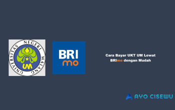 Cara Bayar UKT UM Lewat BRImo