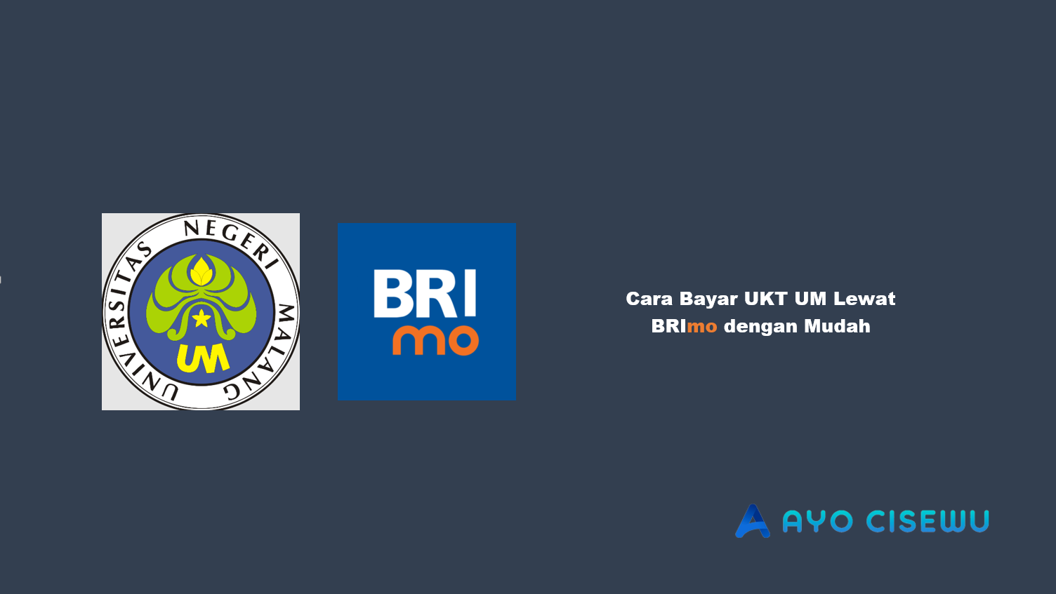 Cara Bayar UKT UM Lewat BRImo