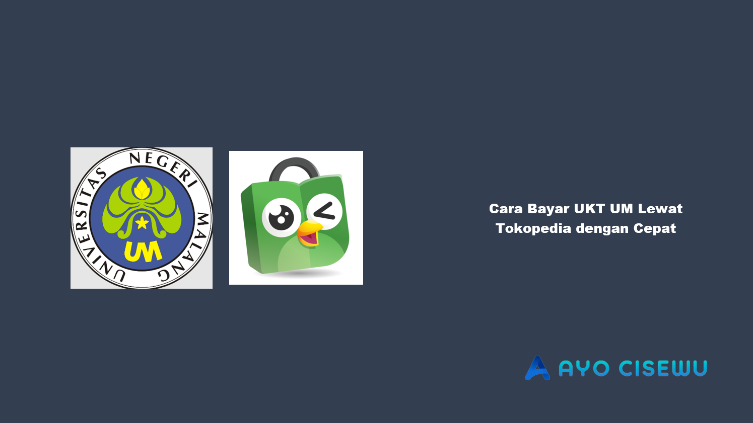 Cara Bayar UKT UM Lewat Tokopedia