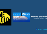 Apakah Apk Melolo Menghasilkan Uang dan Terbukti Bayar?