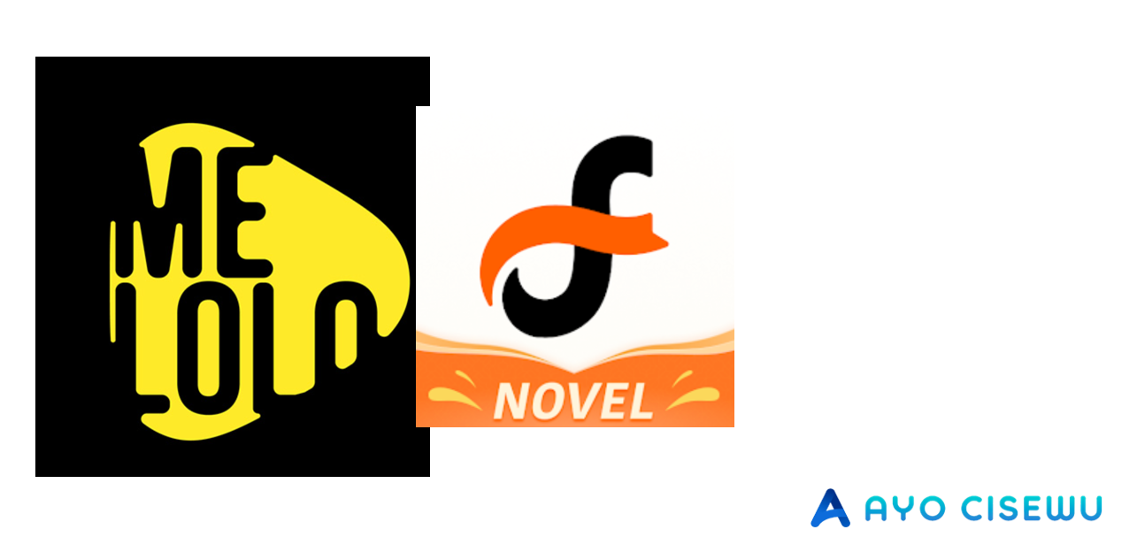 Apakah Aplikasi Melolo dan Fizzo Novel Sama?