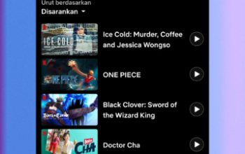 Apakah Aplikasi Netflix Online atau Offline?