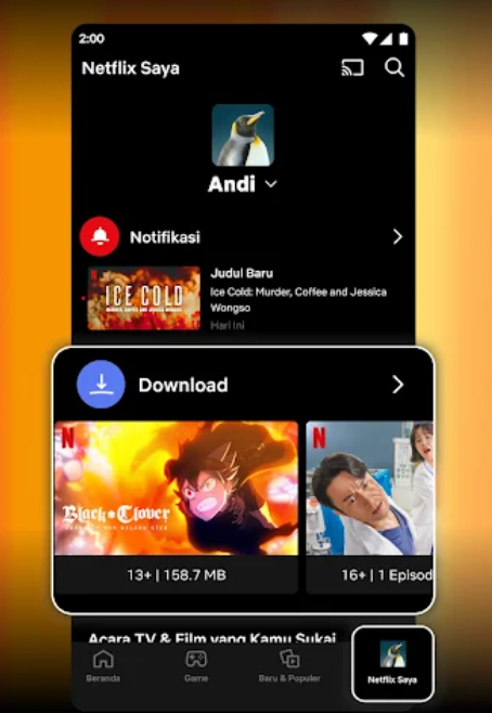 Apakah Netflix Boros dan Menghabiskan Banyak Kuota?