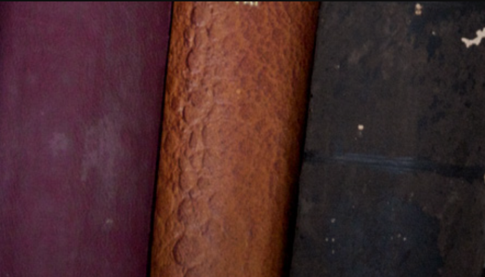 Arti Pangungkapon dalam Alkitab, Batak dan Indonesia Apa? Cek INFO