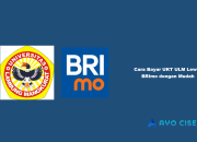 Cara Bayar UKT ULM Lewat BRImo