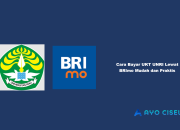 Cara Bayar UKT UNRI Lewat BRImo