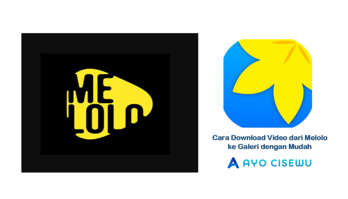 4 Cara Download Video dari Melolo ke Galeri dengan Mudah