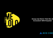 Kenapa Apk Melolo Tidak Bisa di Screenshot?