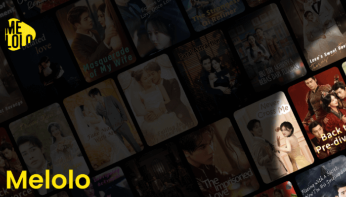 Kenapa Aplikasi Melolo Tidak Ada Kolom Komentar? Review Ada