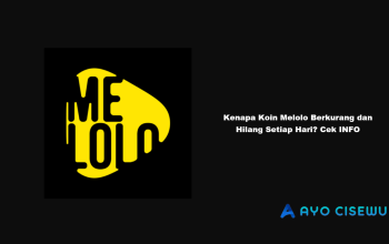 Kenapa Koin Melolo Berkurang dan Hilang Setiap Hari? Cek INFO