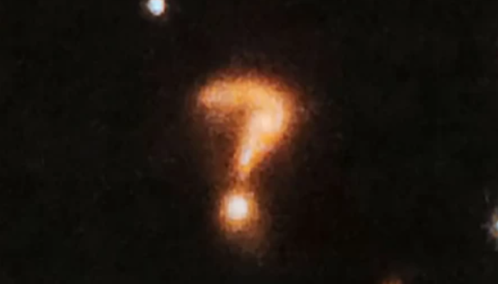 Apakah 28 Desember 2025 Hari Sahabat Kandung dan Happy Single Day? Info Ada