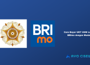 Cara Bayar UKT UGM Lewat BRImo