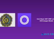 Cara Bayar UKT UMP Lewat OVO