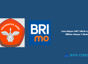 Cara Bayar UKT UNJA Lewat BRImo
