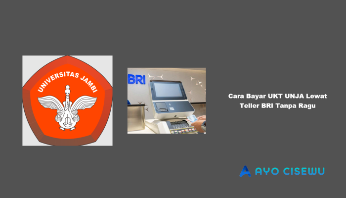 6 Cara Bayar UKT UNJA Lewat Teller BRI Tanpa Ragu