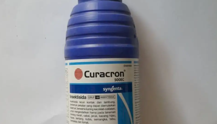 Curacron yang Viral itu Adalah Apa? Bahaya Sekali