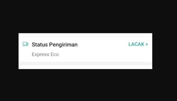 Express Eco di Shopee Adalah Ekspedisi Jasa Kirim Apa? INFO