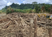 H Bakhrial Apakah Benar Pemilik PT. Minas Pagai Lumber