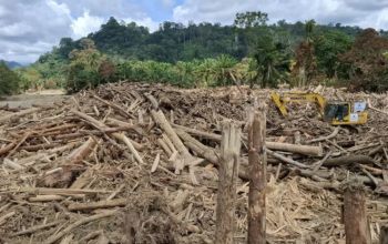 H Bakhrial Apakah Benar Pemilik PT. Minas Pagai Lumber