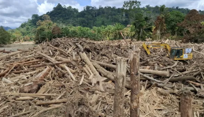 H Bakhrial: Apakah Benar Pemilik PT. Minas Pagai Lumber? Info