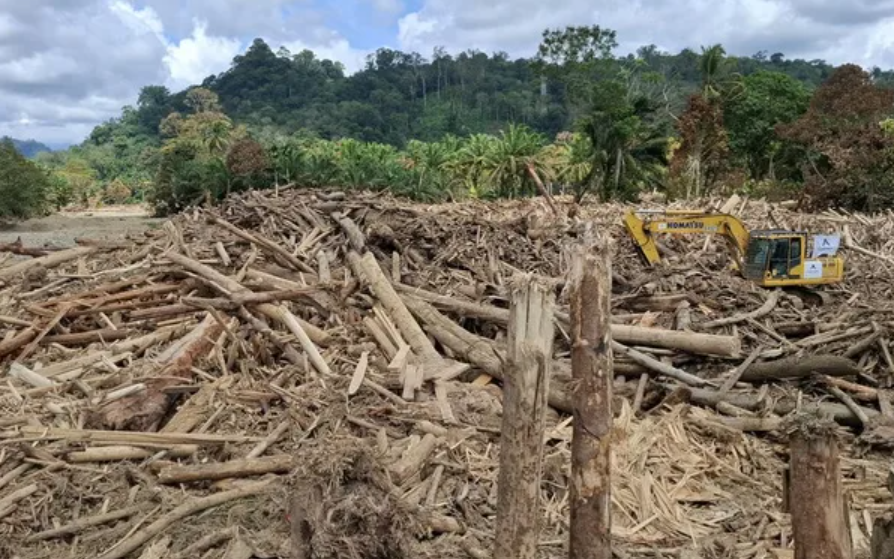 H Bakhrial Apakah Benar Pemilik PT. Minas Pagai Lumber