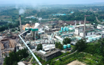 Apakah PT Toba Pulp Lestari Tbk Luhut Milik Joseph Oetomo?