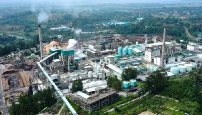 PT Toba Pulp Lestari Tbk Luhut Milik Joseph Oetomo? INFO