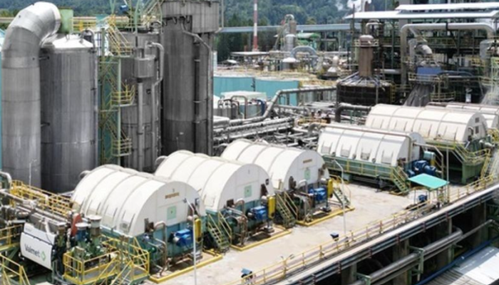 Pinnacle Company Pte. Ltd Adalah Milik Siapa? Info Ada