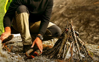 Today Plan Survive Artinya dalam Bahasa Indonesia