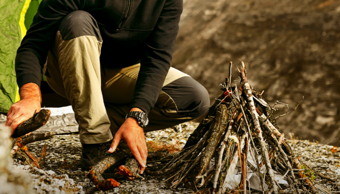 Today Plan Survive Artinya dalam Bahasa Indonesia: Jawaban